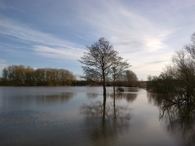 Trent Flood 8